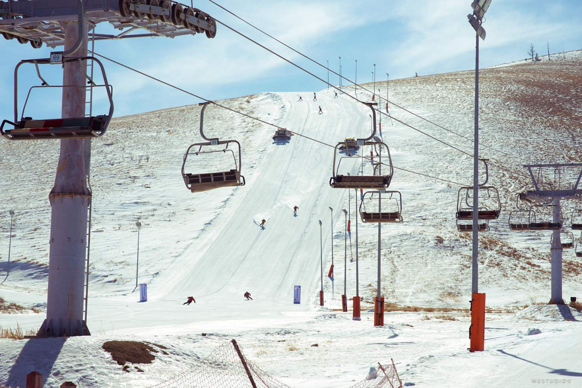 Даваа гаригаас нээх салбарууд