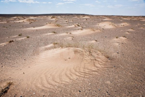 Монгол орны газар нутгийн 76,8 хувь нь цөлжжээ