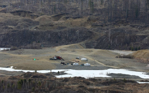 “Нөхөн сэргээлт 2024” нэгдсэн арга хэмжээ Сэлэнгэ аймгаас эхэлж байна.