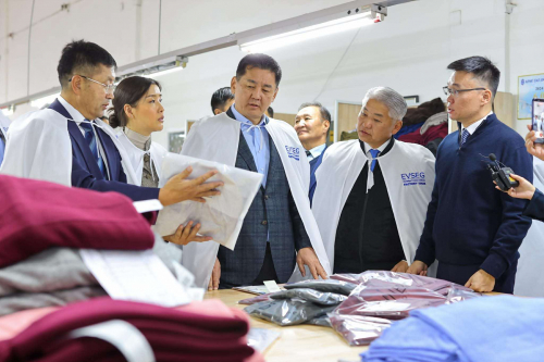 “Цагаан алт” хөтөлбөрийн дүнд самнасан ноолуурын экспорт тав дахин нэмэгдэж, 244 сая ам. долларт хүрлээ