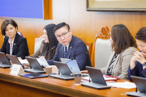 Хүний эрхийн дэд хороо 2026 оны үйл ажиллагааны төлөвлөгөөг баталлаа.